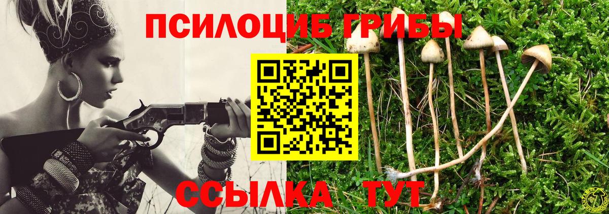 Бугуруслан  Псилоцибиновые грибы ЛСД  Галлюциногенные грибы MAGIC MUSHROOMS  Вход с VPN 